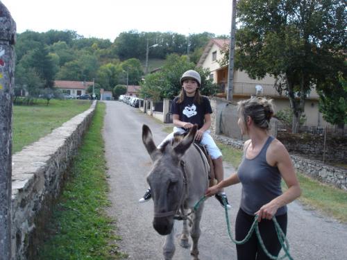 PHOTO A DOS D'ANE 10 SEPT 2014  N°2