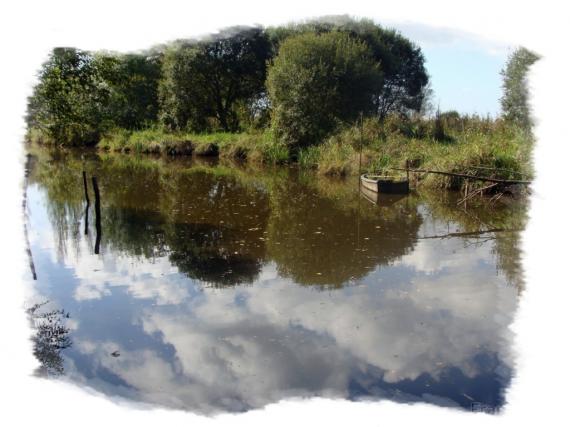 Ile Fédrun St joachim Marais de Brière