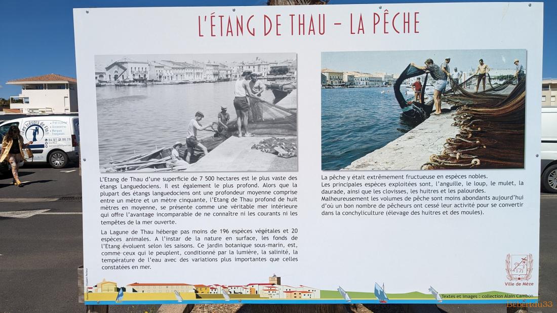 Loupian et les environs 