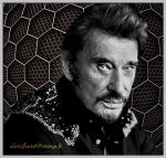 Fond ecran johnny hallyday009