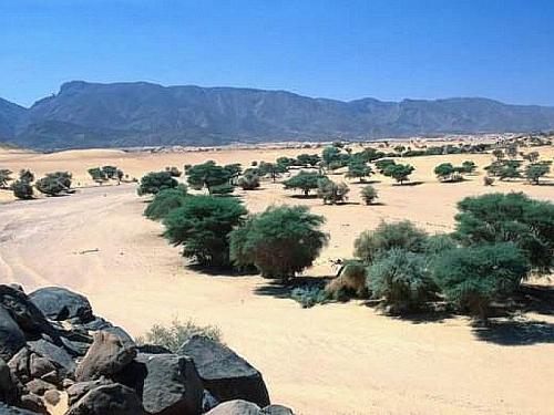 Patrimoine mondial de l'Unesco : Les réserves naturelles de l'Aïr et du Ténéré - Niger -