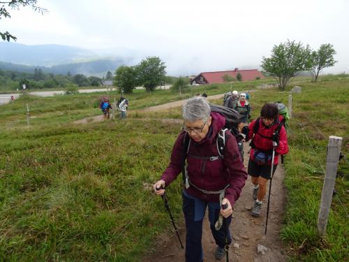 "Vosges 2022 - Matin du 10 juillet 2022 - Pied du Hohneck-Etang du Devin"