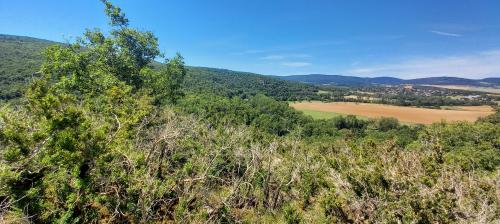 "Pont-de-Pany" - Mercredi 13 juillet 2022