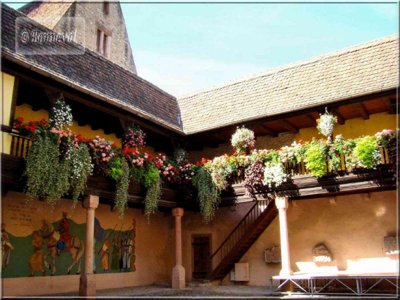 Alsace route des vins de Colmar à Ribeauvillé Kaysersberg