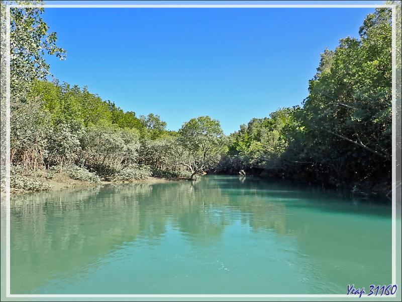 20/09/2022 : exploration de la mangrove de la Rivière Hunter - Prince Frederick Harbour - Kimberley - Australie
