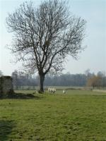 La randonnée du 7 avril à Saint-Gabriel-Brécy