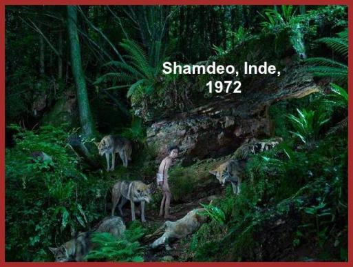 Les Enfants De La Jungle.
