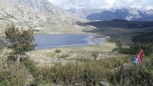 CORSE GR 20