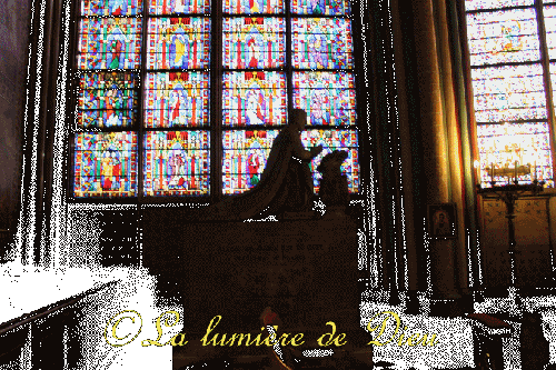 La cathédrale Notre-Dame de Paris
