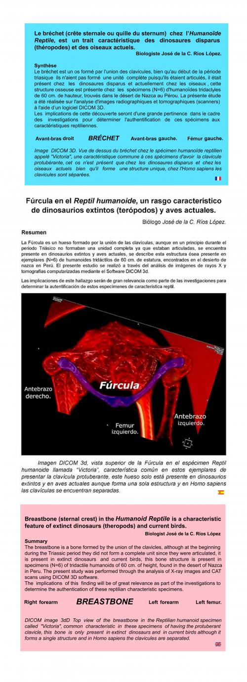 ALIEN PROJECT - Les momies du Pérou/5