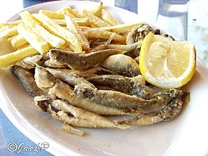 P9120033MARQ