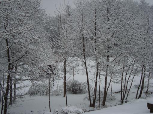 DSC00792