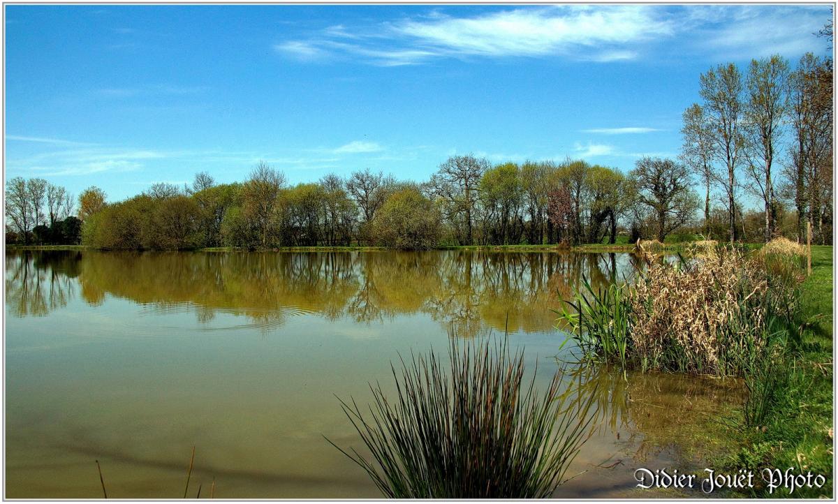 (85) Vendée - La Chaize le Vicomte (19) - Etang communal "Les Filés"