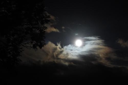 jau de lune :