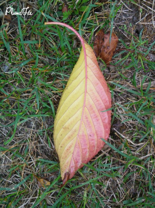 Image007.jpg
