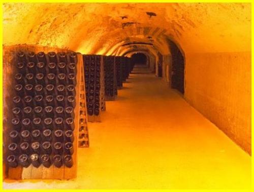 ⊱♥⊱╮ღ꧁ Aujourd'hui  51 la Marne   ꧂ღ╭⊱♥≺