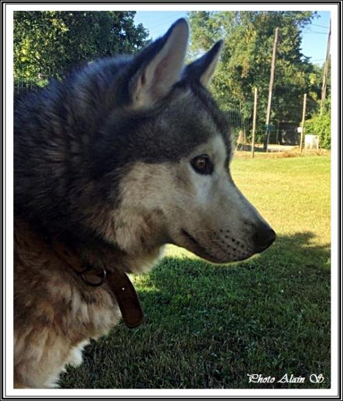Irko (5 ans)