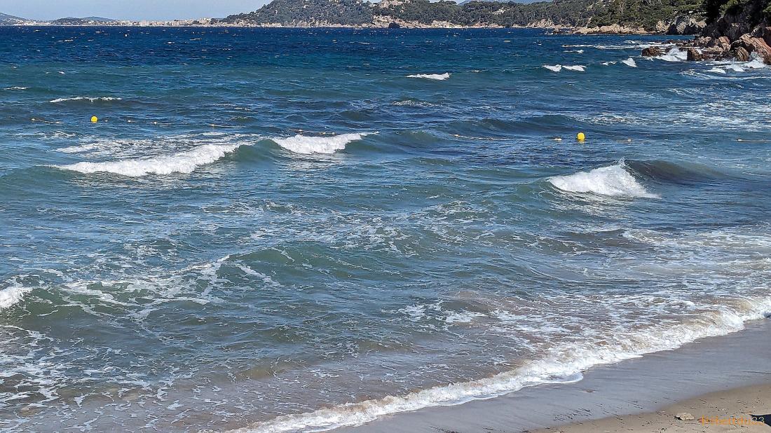 Le Pradet dans le Var