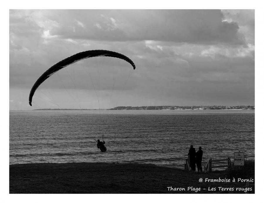 Tharon plage - Fais comme l'oiseau 