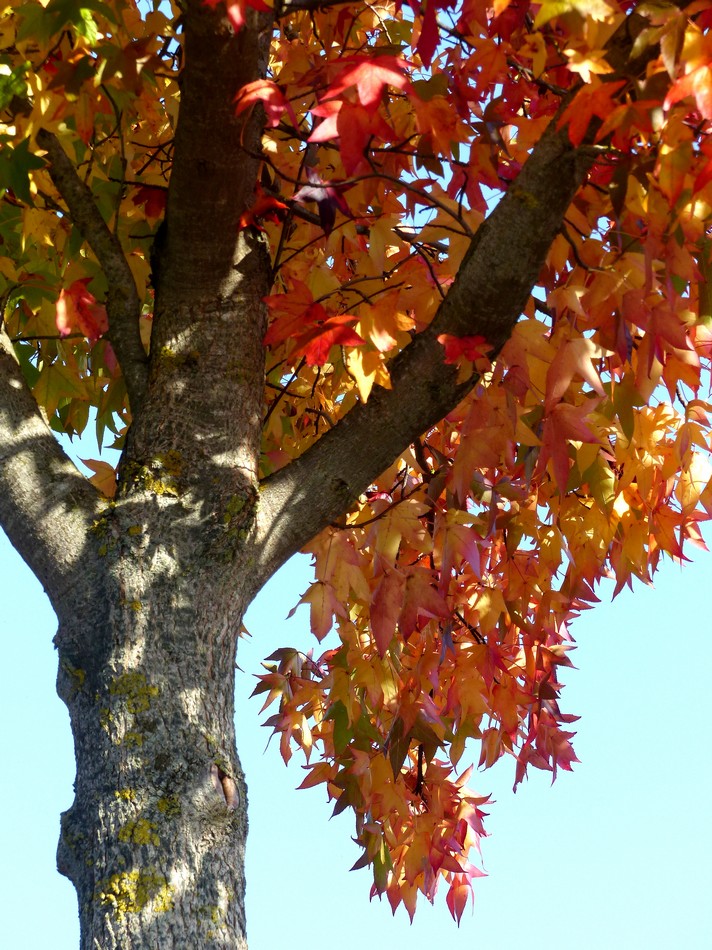 Dimanche 15 octobre, 26°