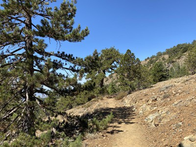 Chypre dans l'Europe