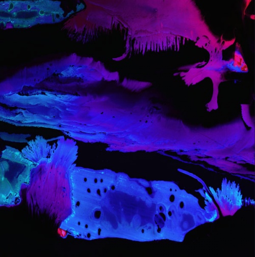 Le1f et Boody, géniaux et fous !