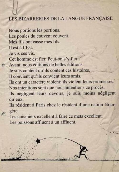 ''Bizarreries'' de la langue française.jpg