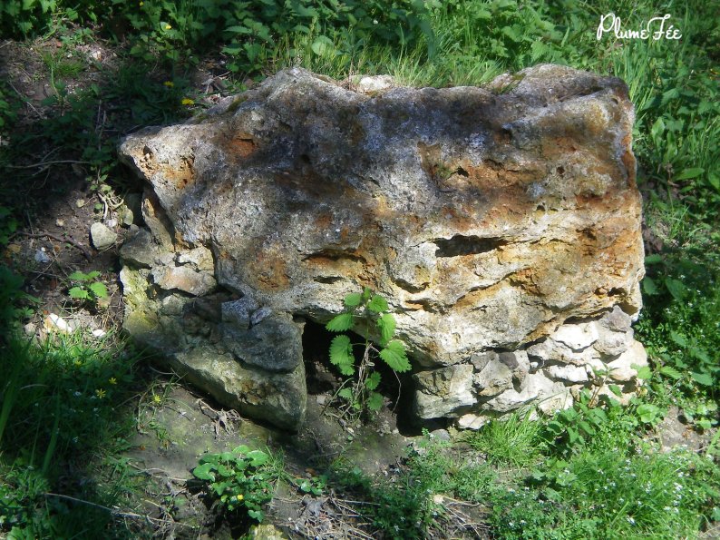 Image006.jpg