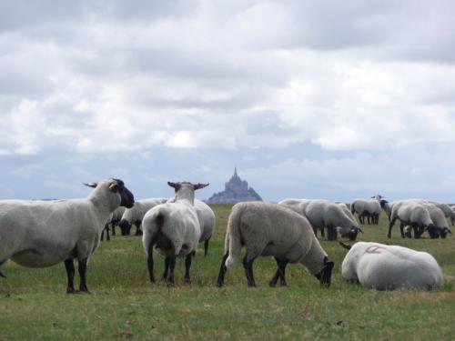 Entre Bretagne et Normandie