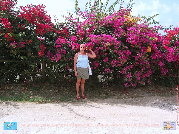 019-GUADELOUPE--6---20---03---2007.jpg