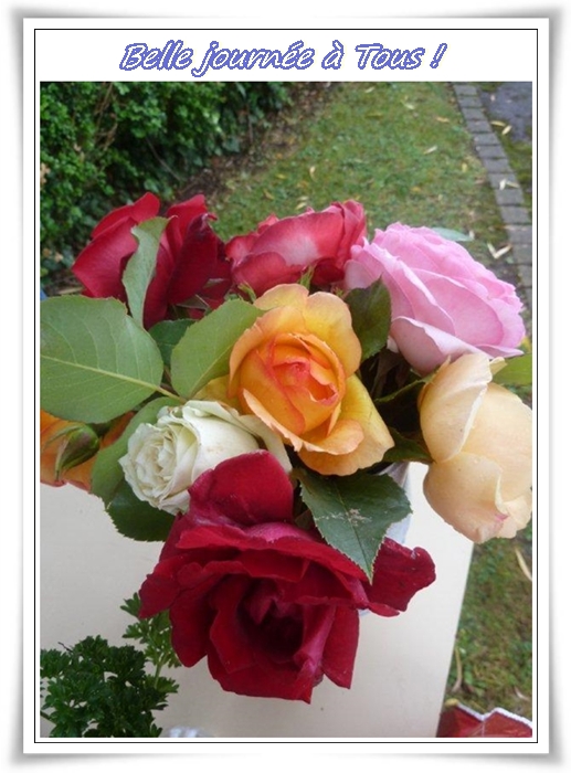 Senteurs ... de roses ...