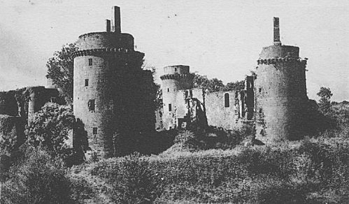 chateau_hunaudaye3.jpg