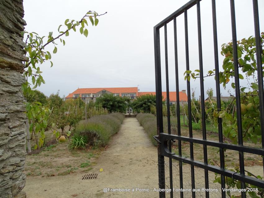 Pornic, Vendanges à l'Auberge de la Fontaine aux Bretons -  2018