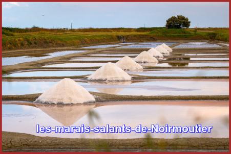 ღ꧁ღ╭⊱ꕥ   85 La Vendée  ꕥ⊱╮ღ꧂ღ