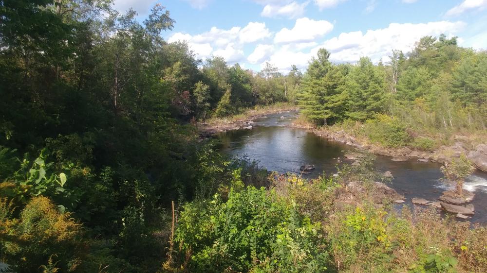 Calabogie Brewing Company with JD on September 5th 2021
