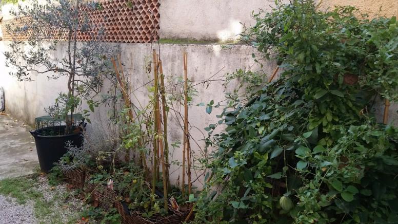 MARSEILLE- Mamiekéké et son Cricri d' amour jardinent .