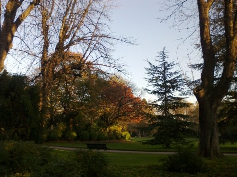Image5