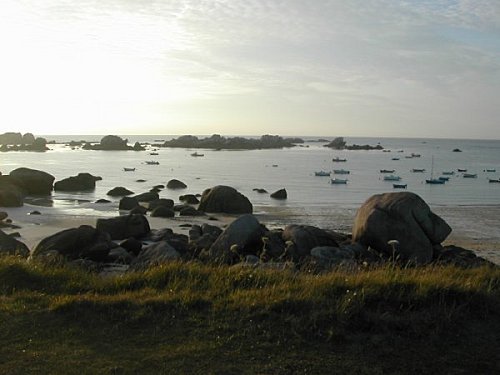 2943693993_1_3.jpg