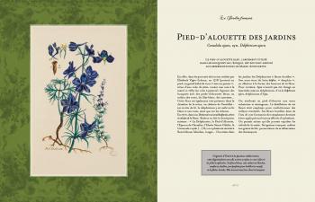 L'herbier de Marie Antoinette