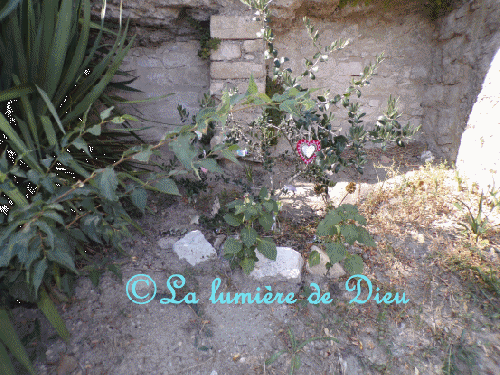 Forcalquier, la chapelle Notre-Dame de Provence