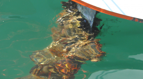 L'espoir de flottabilité