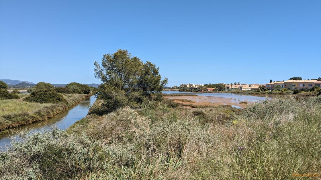 Suite pour aller à Hyères  -2