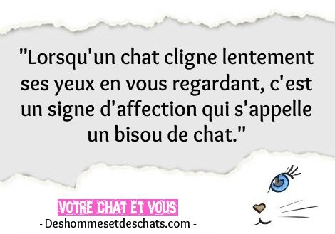 "Coups d'coeur" (4) ...