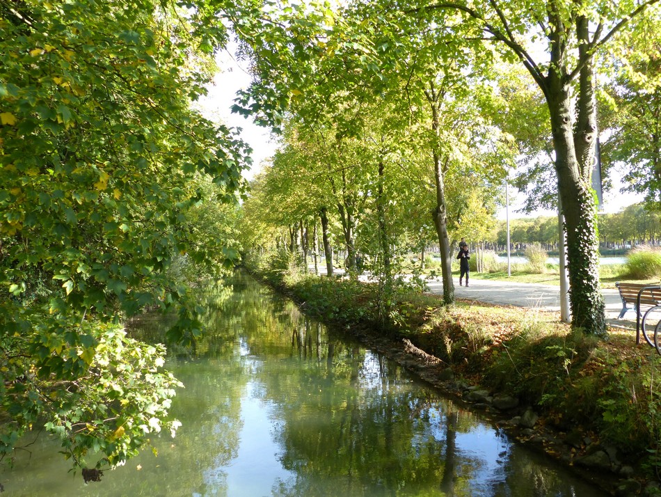 Le soleil m'accompagne au Parc de la Hotoie