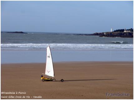 Virée à St Gilles Croix de Vie en novembre 