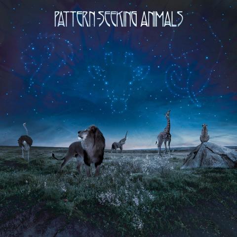 PATTERN-SEEKING ANIMALS - "No One Ever Died and Made Me King" Lyric Video