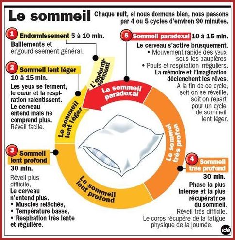 Le sommeil