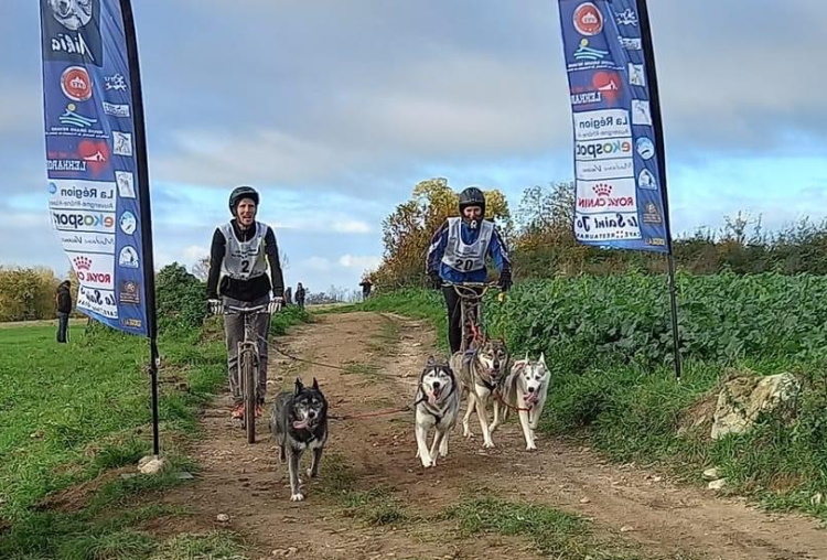 Trottinette husky 2 chiens Dolina Volka