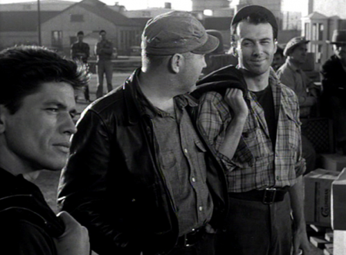 Dans la gueule du loup, The mob, Robert Parrish, 1951