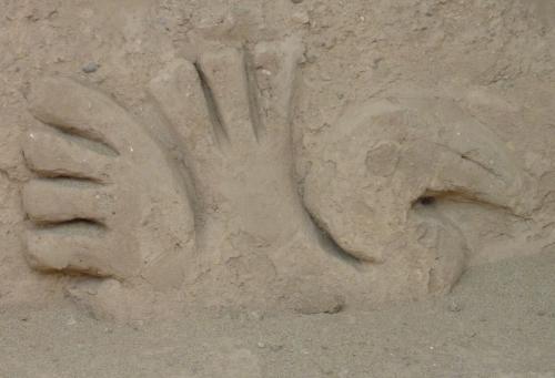 Dans le delta du Danube, 4 : les pélicans